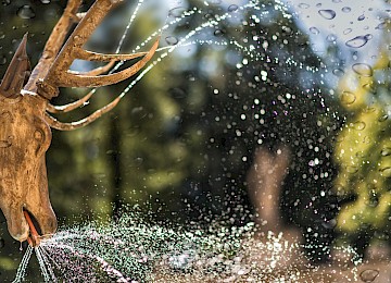 The image captures a beautifully crafted deer sculpture that functions as a water feature, with streams of water spraying from its mouth and antlers. Sunlight refracts through the droplets, creating a shimmering, rainbow-like effect in the air. The background reveals a softly blurred natural setting with trees, enhancing the peaceful and magical atmosphere. Water droplets on the camera lens add a sense of immersion, making the viewer feel as if they’re part of the refreshing spray. This image beautifully showcases the artistry and playful elegance of a historical fountain set in a serene outdoor environment.